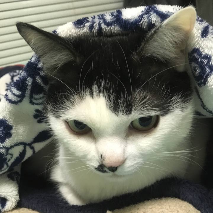 Ea116ab4 34e7 463f a5db ca1a78ecb0ba