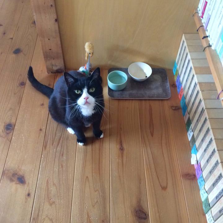 Ea1260f8 3378 4642 ace1 0b87a49ad2f7