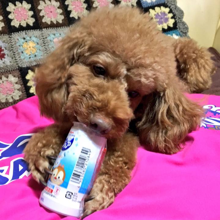 Ea129f40 274d 4d7f 9aa8 3dd4aa962676