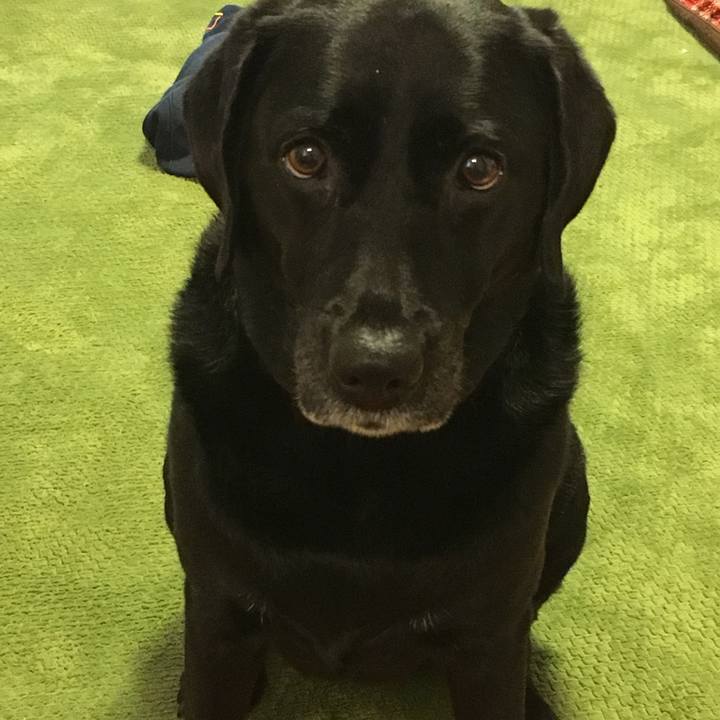 Ea12b9f3 efc5 4a2e 8dd3 693199898755