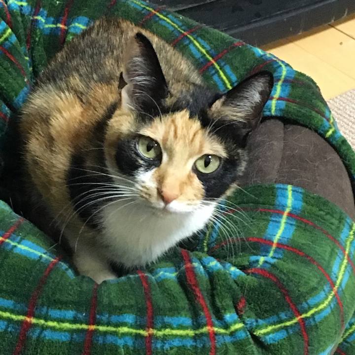 Ea12bd0c 5fb7 4627 8fc8 e4ef8ce5893a