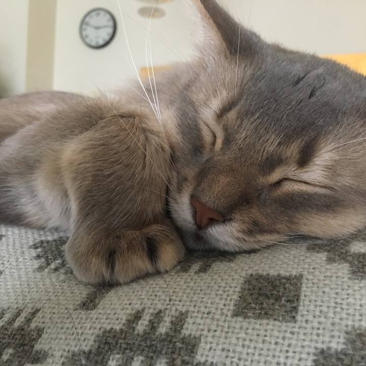 Ea12f735 42f0 4f26 be19 d3312103cfa7