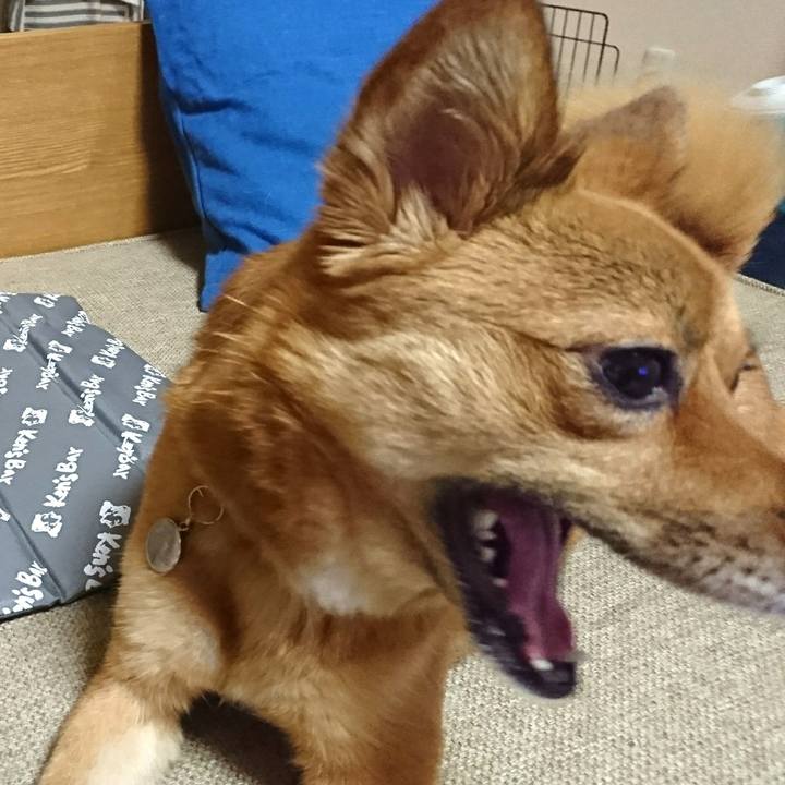 Ea13373a fdb7 4dea 95a1 3a674c181f62