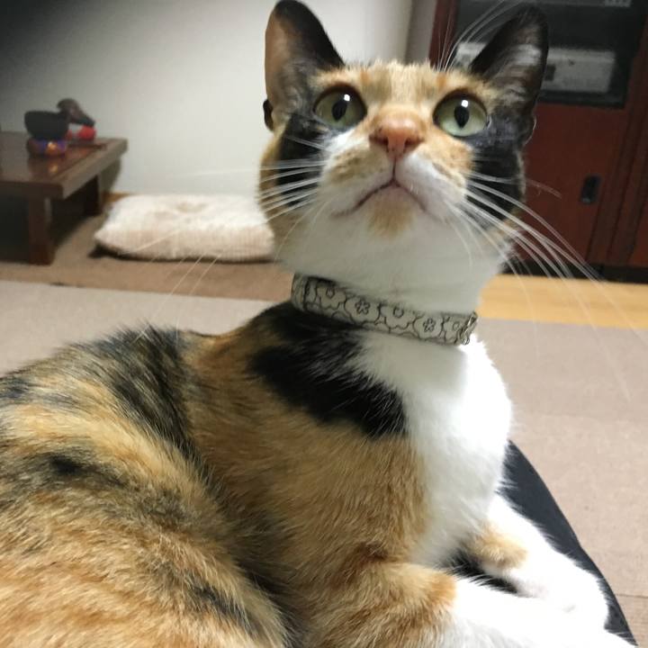 Ea148555 f676 4d0f b6e1 4e6b06f3b8e6