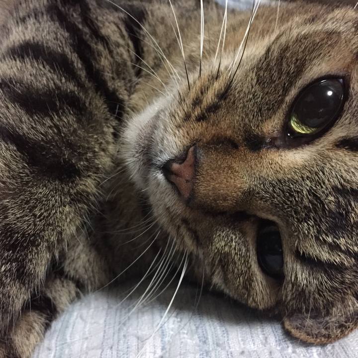 Ea14fde2 9277 4c2d 9166 8cec286998da