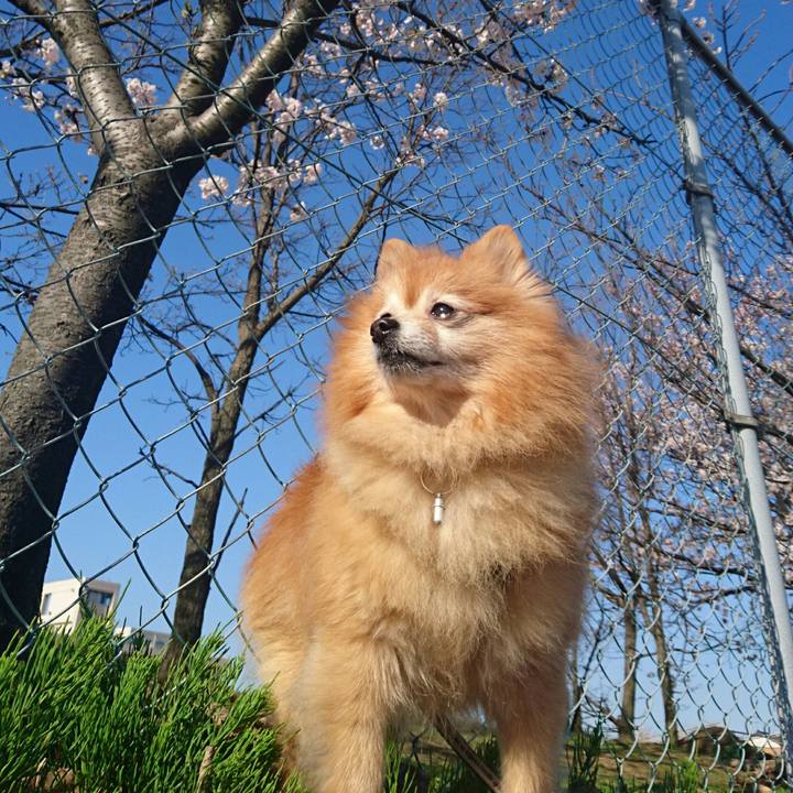 Ea150951 e896 48a6 a04e aa0dc5b82237