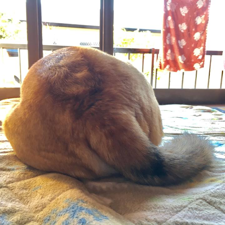 Ea15c65c 5837 4753 a7f9 7d87ce477896