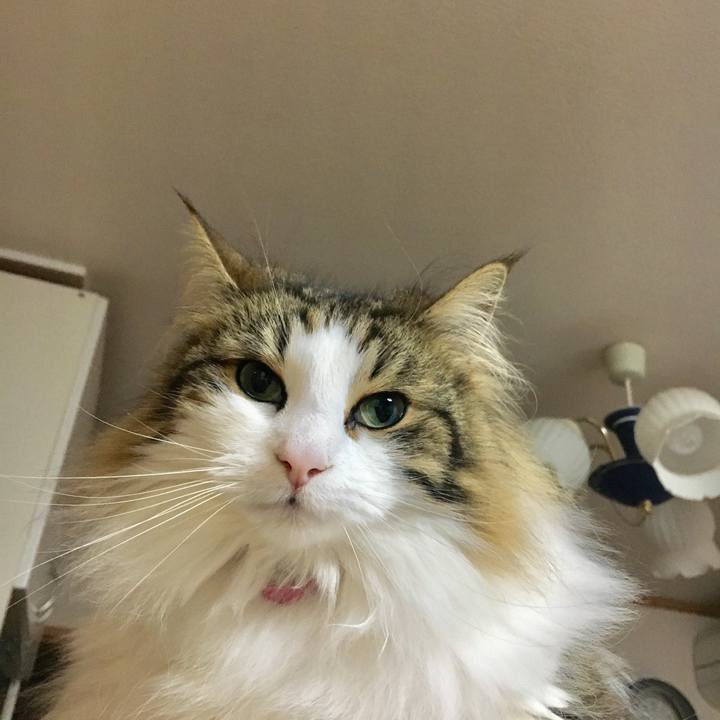 Ea1644df f159 4948 8e12 6ba3c60a6602