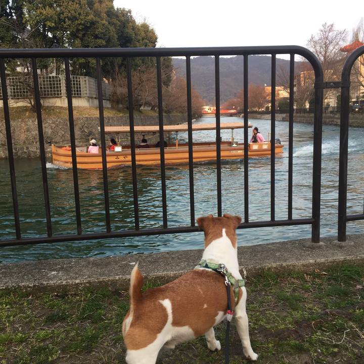 Ea16baf2 90da 4407 b12f c7557a0baee8