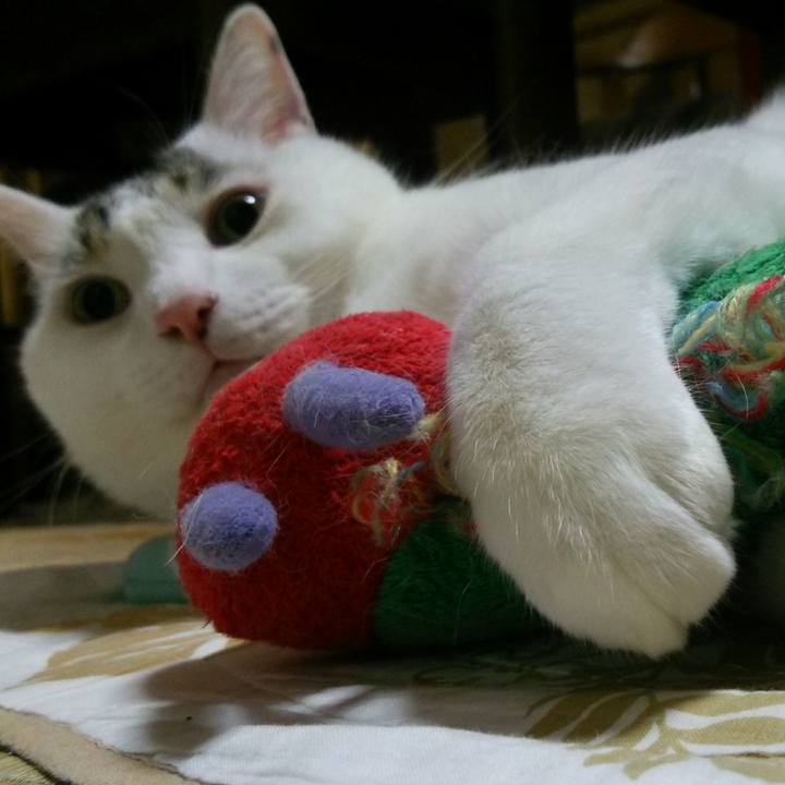 Ea174aef 9c21 4b3e 805f b3b3ed23d28c