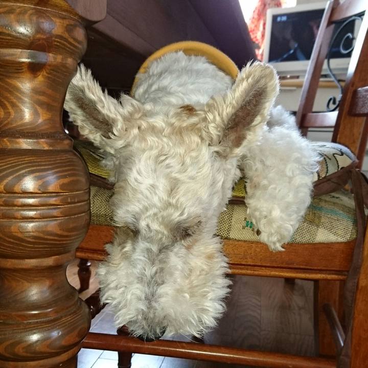 Ea1767ca 1ef3 44fb 88af b7a294f62eac