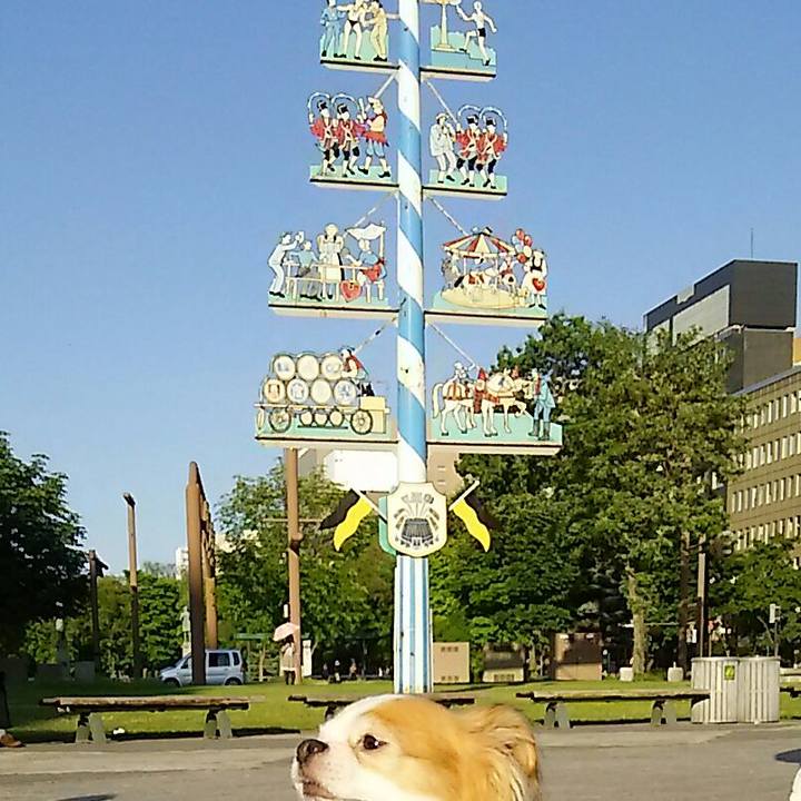 Ea17b9a8 aa7a 4f54 86b1 fd40c48b6807