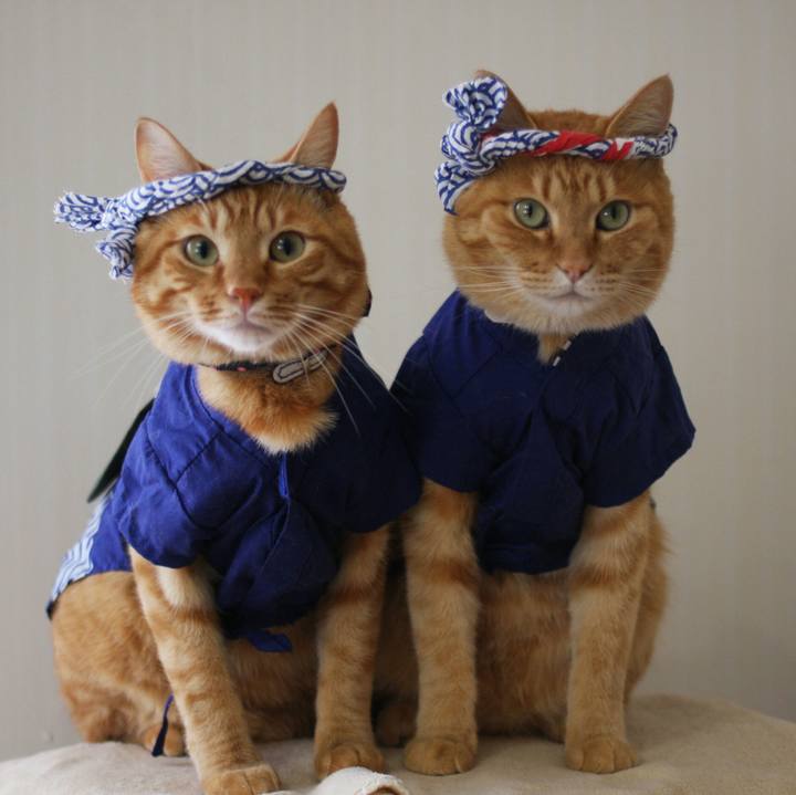 Ea17c512 51f3 4f5c 9bf1 3b8a9c077b72