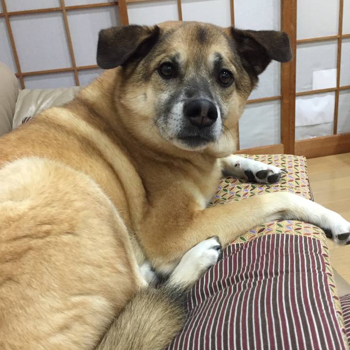 Ea188aaa 2e02 4df7 bda4 5331fb680356