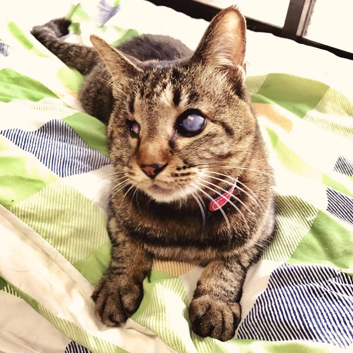 Ea190e01 c280 41b4 840b 630ea3911bd0