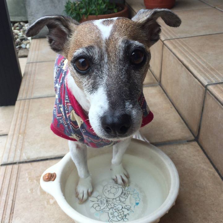 Ea191b5e 1ddf 4065 9898 76bab2118e5d