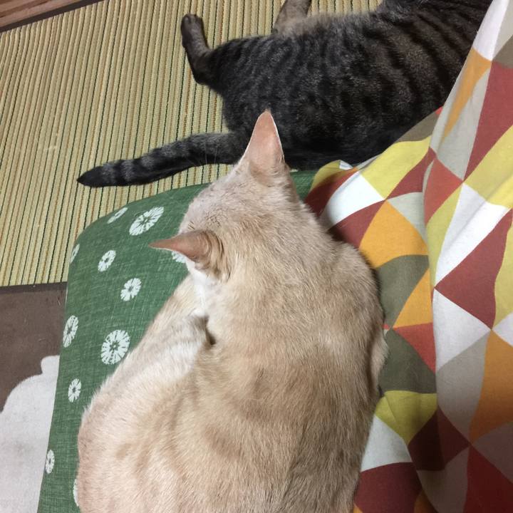 Ea19e469 d5f1 4010 a9f5 e9b37d61baf5