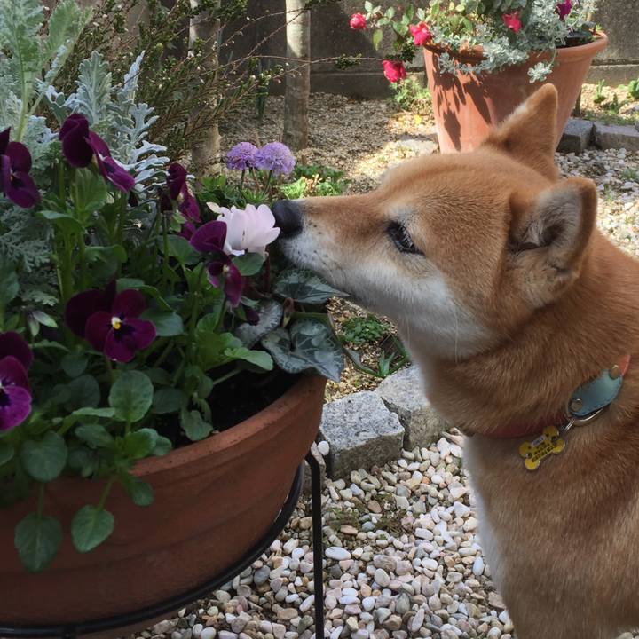 Ea1a125c d595 451f 8cdc a498696a4bac