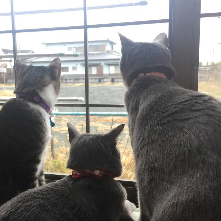 Ea1a3f6b 433d 4246 aa77 7ac4729aed5a