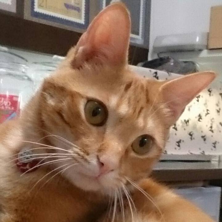 Ea1b37b3 3299 4697 8237 ddbccbc55ff2