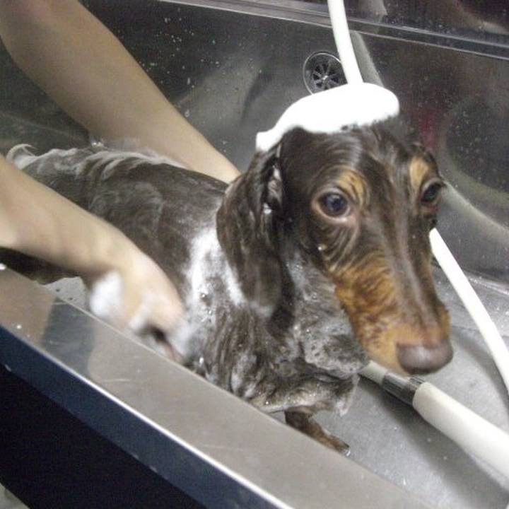 Ea1bac6a 1a98 4672 8dc1 1f833f92e116