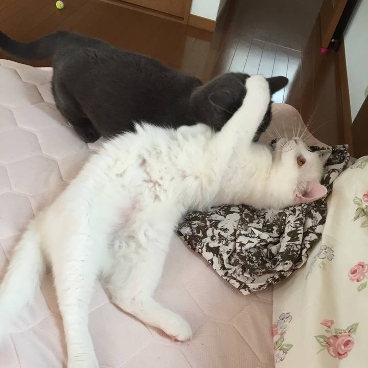 Ea1c2788 2b23 4ef4 886c 8c2f94d33479