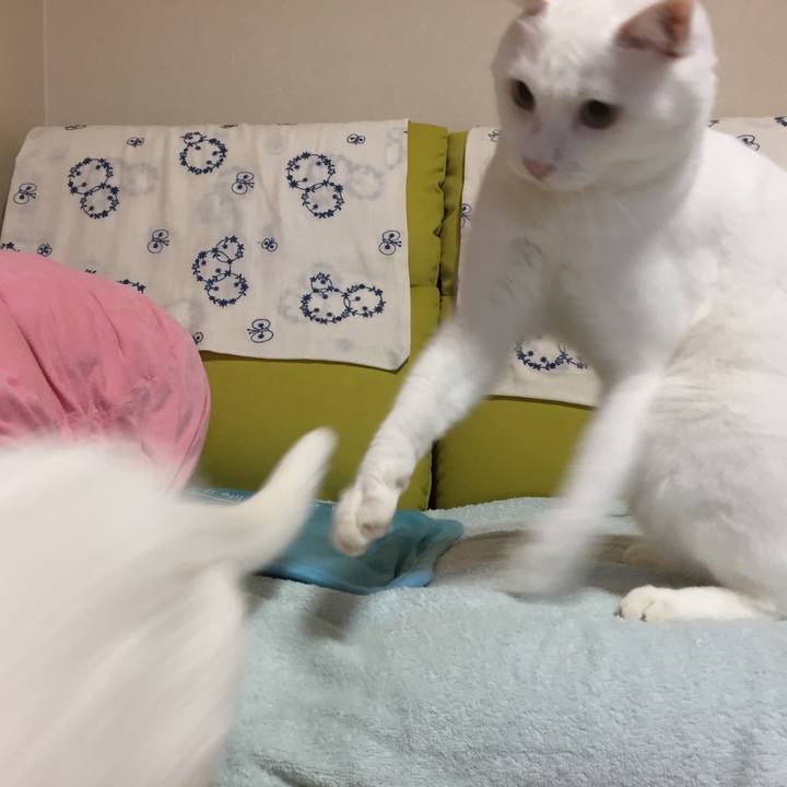 Ea1c4619 5410 4f82 92b2 53b294c6d965