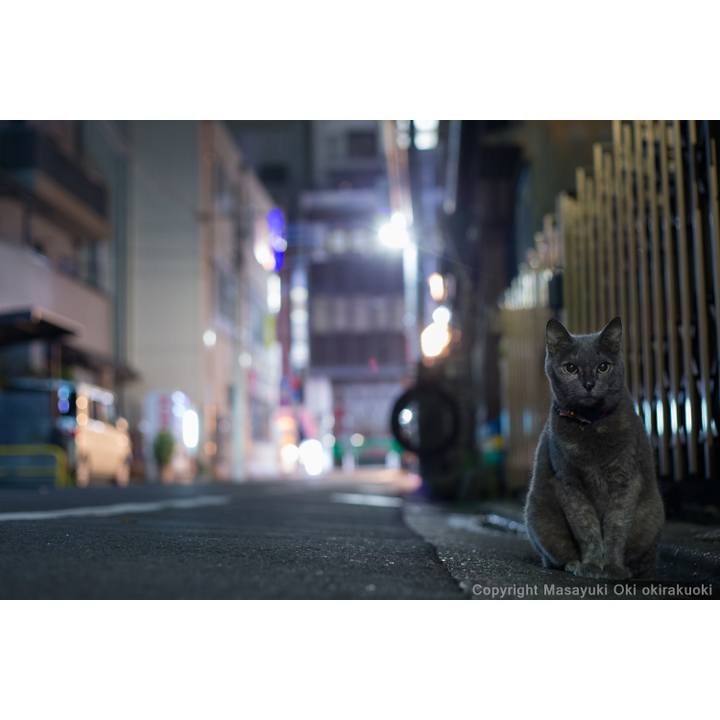 Ea1d1c96 0a43 4f90 8a6f 81b1908e35c3