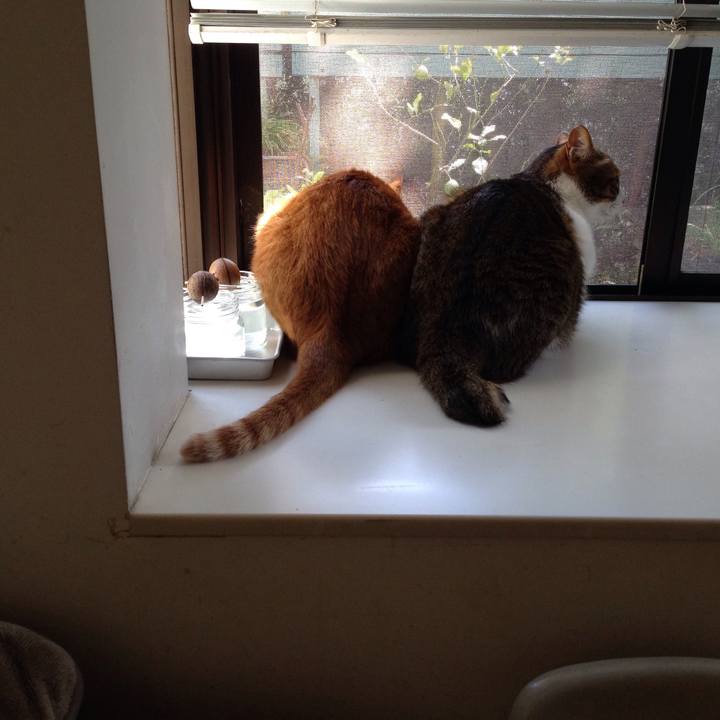 Ea1df6d3 5ce9 41bb abc6 76455dbe4460