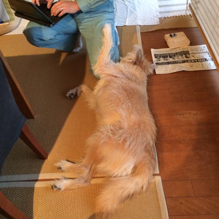 Ea1e01b9 507b 473e ab06 a2da4d558a22