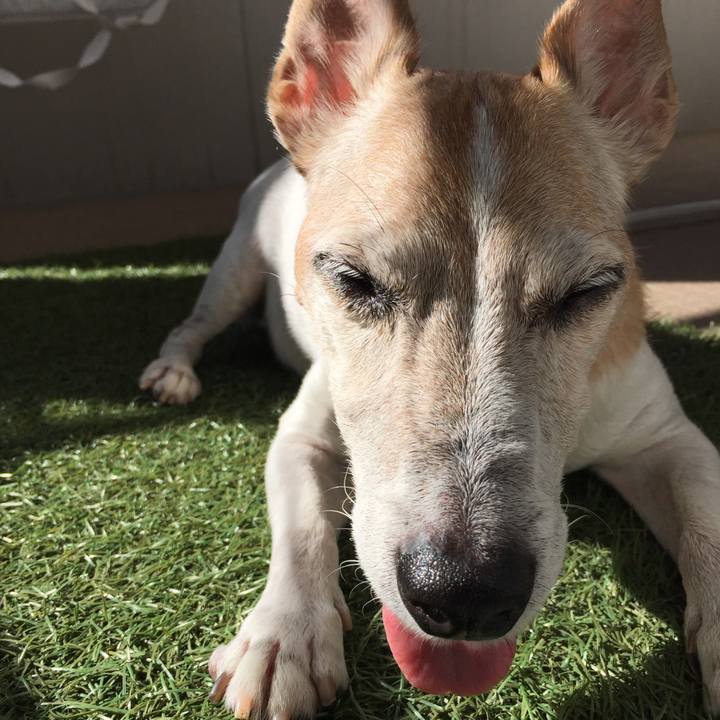 Ea1e4d60 8f92 48a5 ad68 0ee1c9a7c3c4