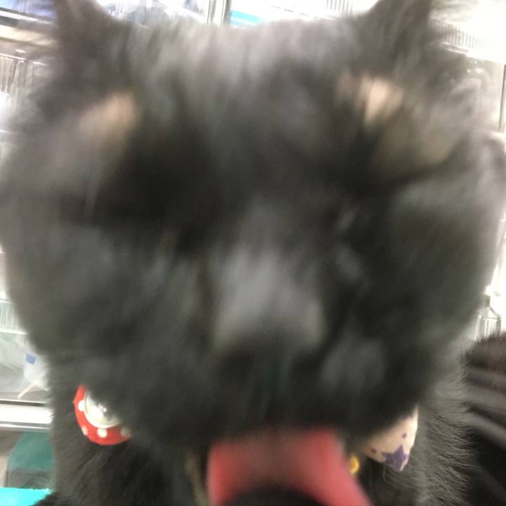 Ea1f17f2 a500 45df beb1 5bee8c825e57