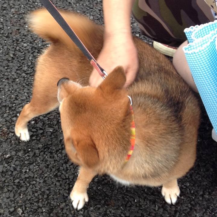 Ea1f3dc9 8fed 4b8a 926b 8f996e77deeb