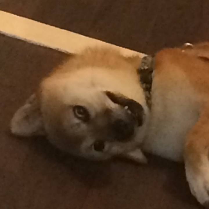 Ea1f5f60 5b7c 4ccf a097 34524bd471e2