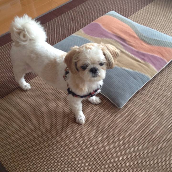 Ea1f9fd1 bf3b 49f3 9eb2 3ec1269eb669