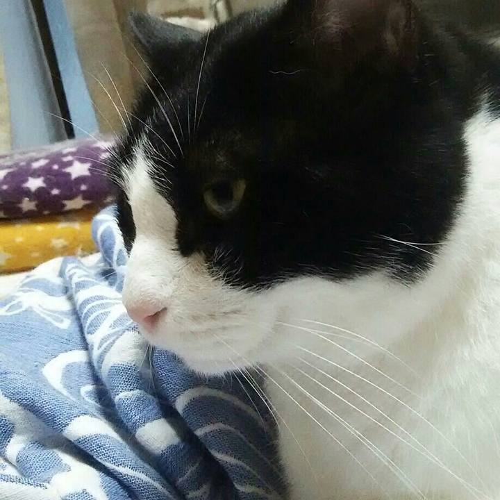 Ea1fd70d d0f2 44ef bdf6 bb6851bf28df