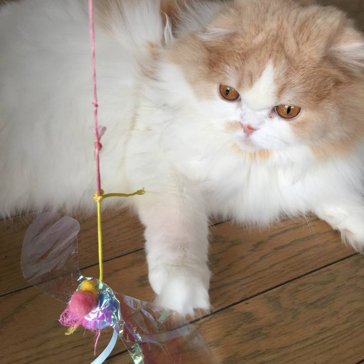 Ea20c2cd 1364 4d3e 9d9a d04753ec66e4