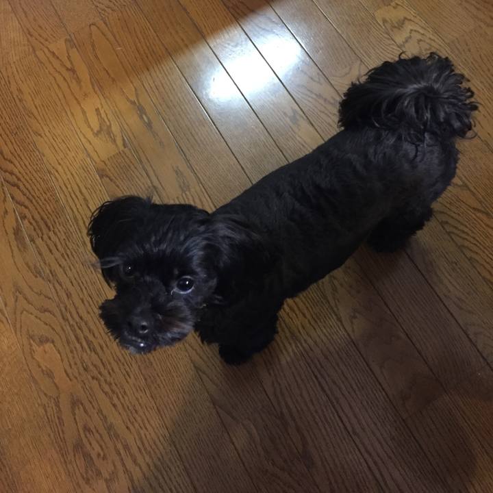 Ea21febc e120 493e 9482 7edbd85ea630