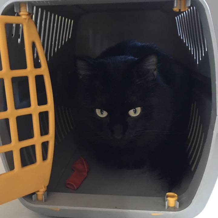 Ea22d62b 54d4 4e12 9699 ee0866f18687