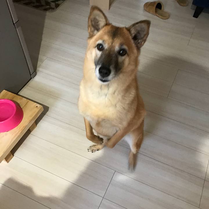 Ea22d630 c340 4704 828c 912329b042c6