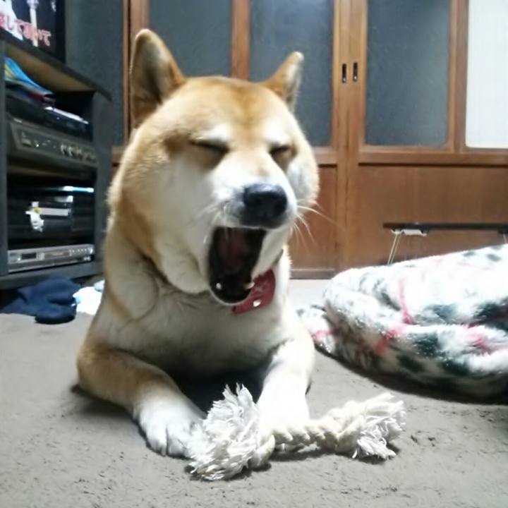 Ea2390b8 d1ae 4dae ac02 2273c07fdb90