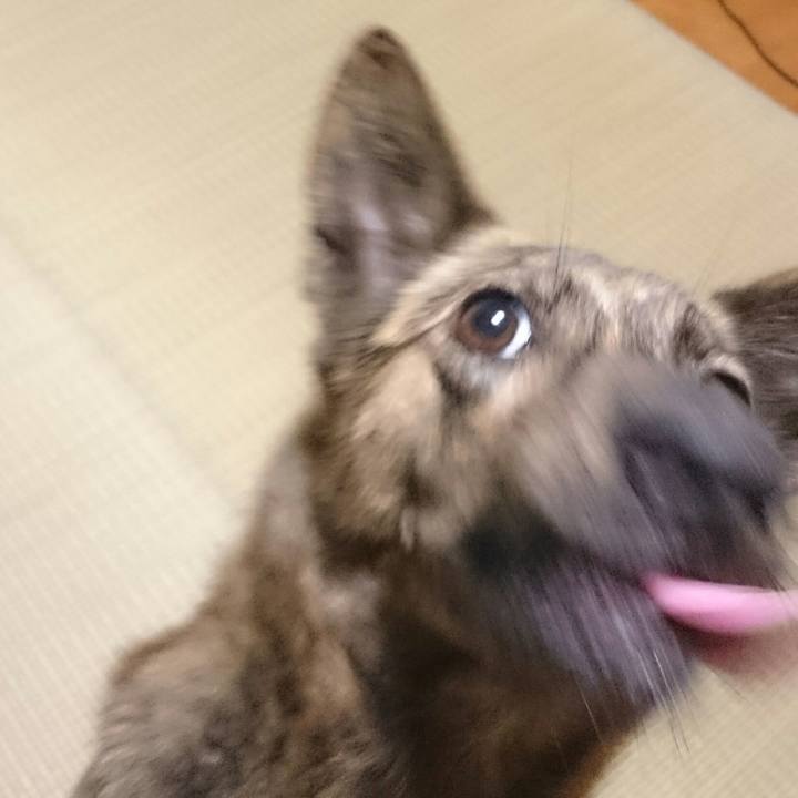 Ea245027 9660 4a31 b604 6031b479899a