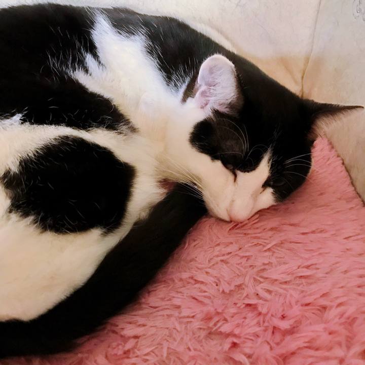 Ea25030b 87e1 410b ba9d 7520d1c2c963