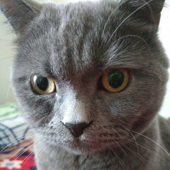 Ea259678 6e46 4231 9b69 84fbb6d0fd13