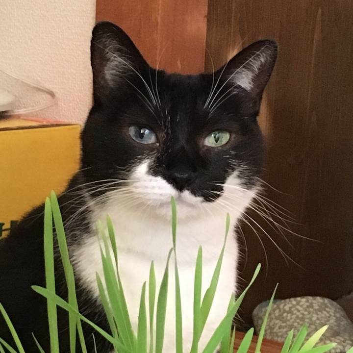 Ea26a34c db8c 4598 8500 263707a60f88