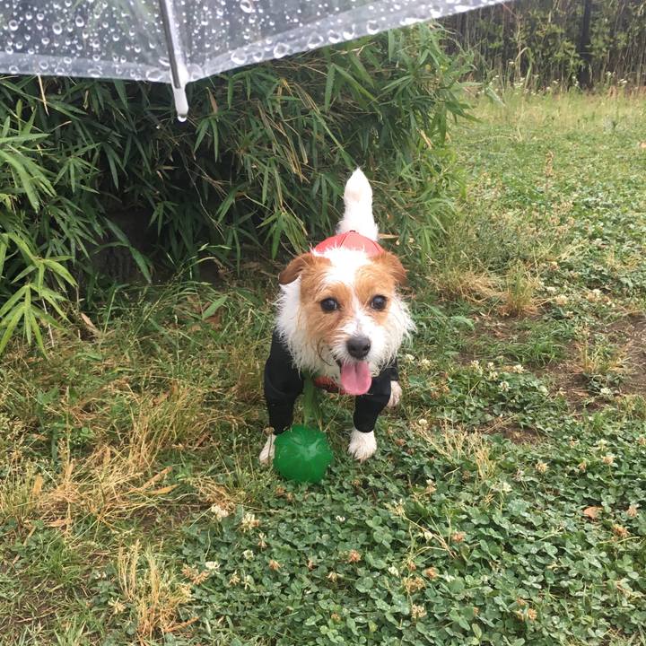 Ea26ee12 73ae 4fb4 9ba1 d531919add7b