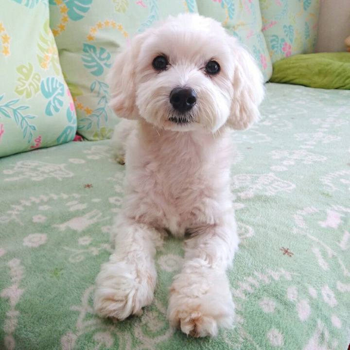 Ea276a21 dbb1 4bce 927d 18c141e60b23