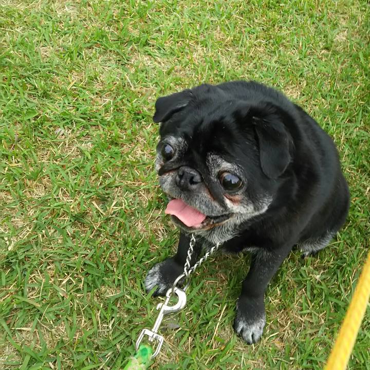 Ea27d860 526a 4dd0 909b dcbdecb9353c