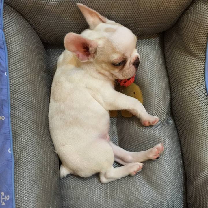 Ea296a65 19e9 4954 87c1 96c4195dc38d