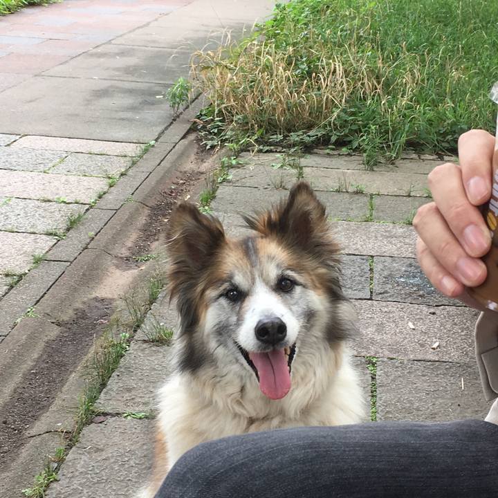 Ea298dff 7106 4e19 a072 aa3b69b2384a